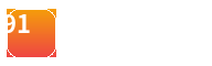 91官方Logo